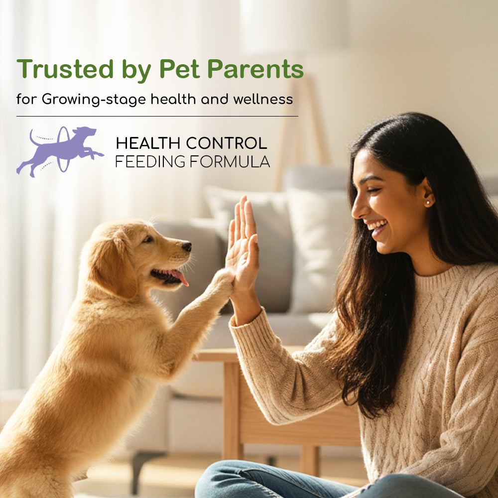 Dry Dog Food  - Puppy (3-14 months) | Chicken Kibbles for Puppies