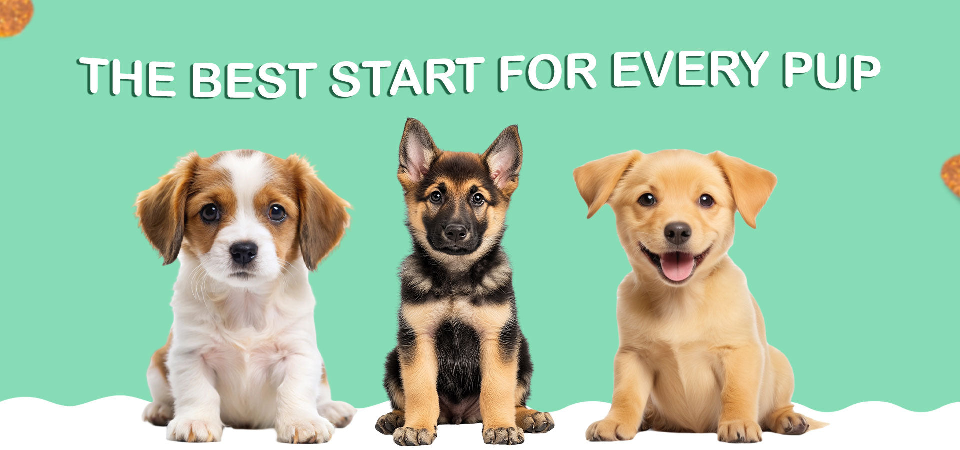 slider image slider_item_VxizQP