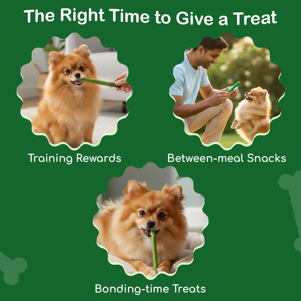 Dog Soft Sticks | Spinach