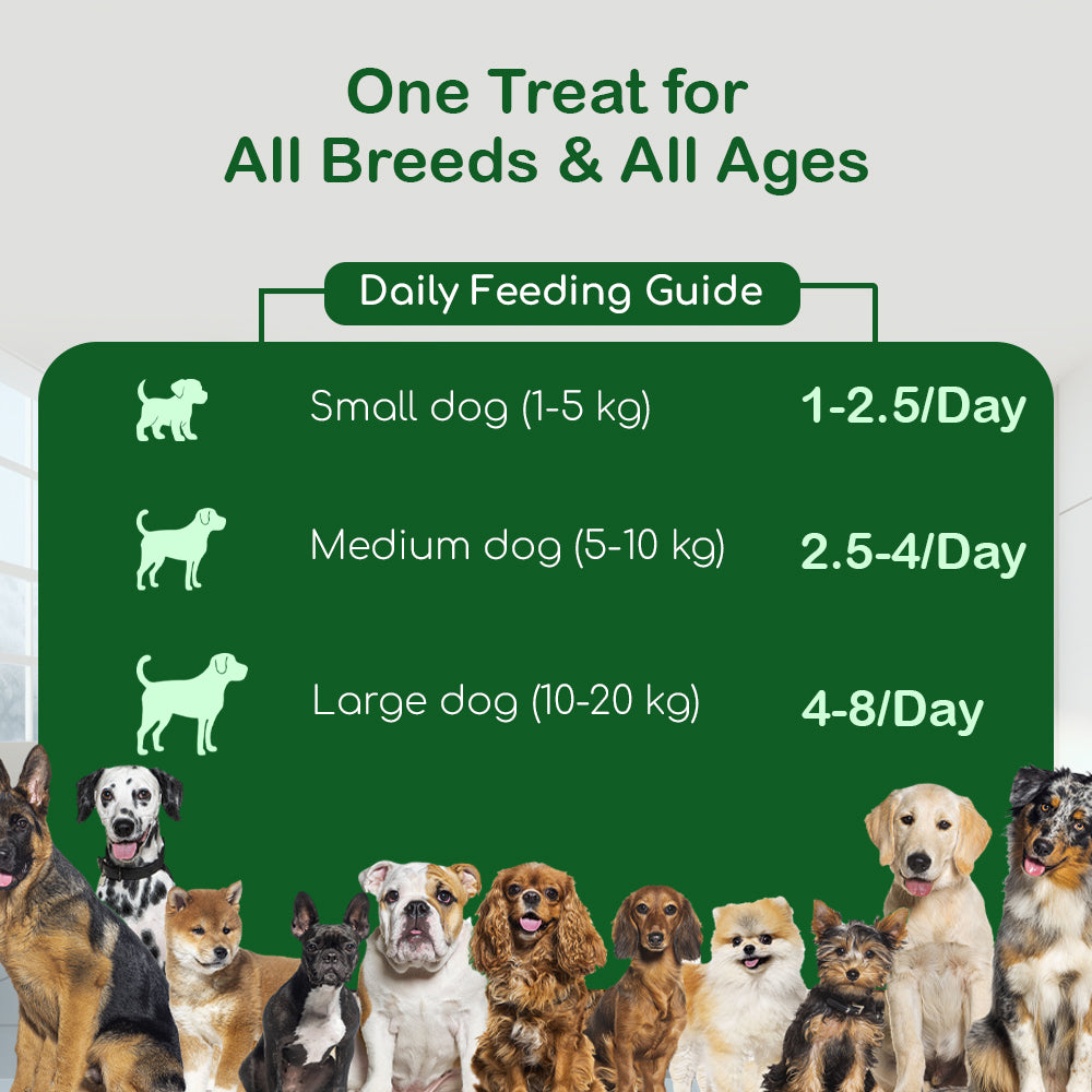 Dog Soft Sticks | Spinach