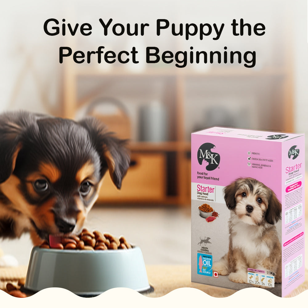 Starter With Calcium Vitamins & Minerals