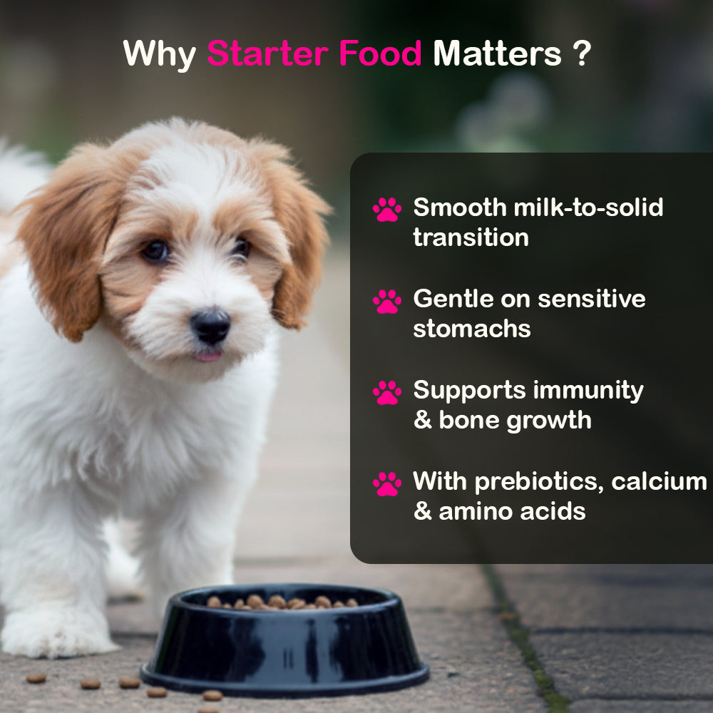 Starter With Calcium Vitamins & Minerals