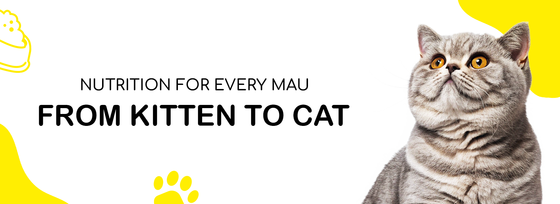 slider image slider_item_mEWfRt